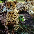 Photo of the Day
