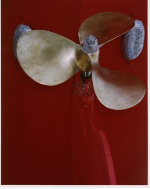 Photo of the Day