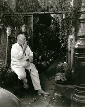 Photo of the Day